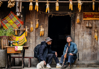 Santapan Harian Keluarga (SHK) – Minggu, 16 November 2025 Santapan Harian Keluarga (SHK) – Minggu, 16 November 2025