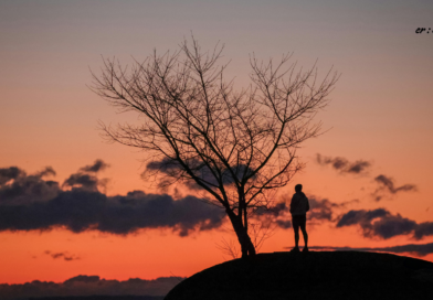 Santapan Harian Keluarga (SHK) – Selasa, 18 November 2025 Santapan Harian Keluarga (SHK) – Selasa, 18 November 2025