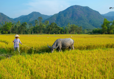 Santapan Harian Keluarga (SHK) – Rabu, 19 November 2025 Santapan Harian Keluarga (SHK) – Rabu, 19 November 2025