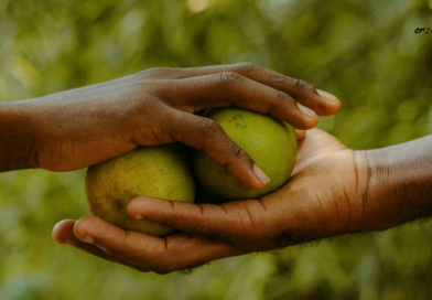 Santapan Harian Keluarga (SHK) – Kamis, 20 November 2025 Santapan Harian Keluarga (SHK) – Kamis, 20 November 2025