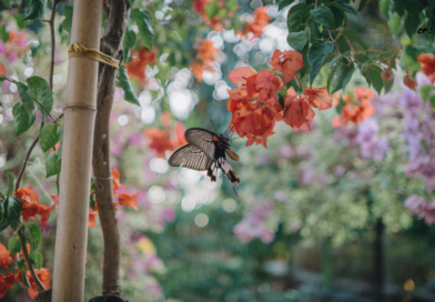 Santapan Harian Keluarga (SHK) – Jumat, 7 November 2025 Santapan Harian Keluarga (SHK) – Jumat, 7 November 2025