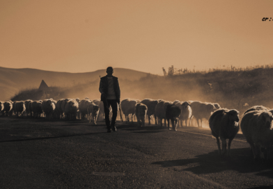 Santapan Harian Keluarga (SHK) – Kamis, 1 Januari 2026 Santapan Harian Keluarga (SHK) – Kamis, 1 Januari 2026