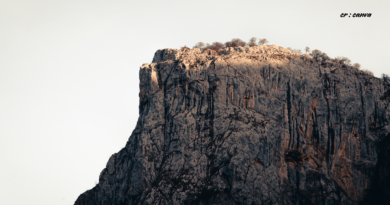 Santapan Harian Keluarga (SHK) – Senin, 16 Februari 2026