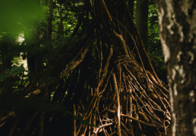 Santapan Harian Keluarga (SHK) – Sabtu, 24 Januari 2026 Santapan Harian Keluarga (SHK) – Sabtu, 24 Januari 2026