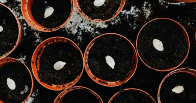 Santapan Harian Keluarga (SHK) – Jumat, 20 Maret 2026