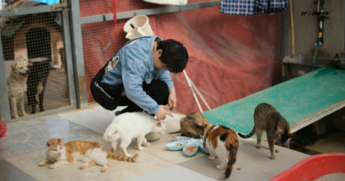 Santapan Harian Keluarga (SHK) – Kamis, 23 April 2026