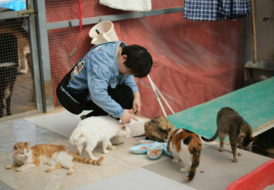 Santapan Harian Keluarga (SHK) – Kamis, 23 April 2026